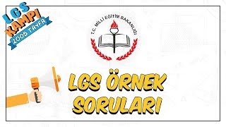 MEB  LGS Örnek Soruları [upl. by Goober]