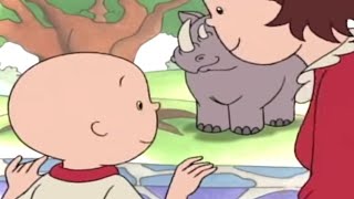 Caillou en Français  Caillou et Laventure au Zoo  dessin animé en francais  conte pour enfant [upl. by Pastelki]