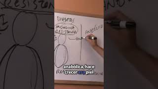 ¿Qué son los lunares rojos en la piel [upl. by Tye]