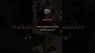 Surah Hajj translationfreeplastine shorts surahhajj trending viral quran translation new [upl. by Ailet]