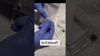 Detecting blood at a crime scene with phenolphthalein csi dna forensics bloodstain [upl. by Kraft]