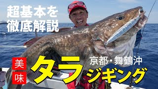 【美味】タラジギング超基本を解説！京都・舞鶴沖 [upl. by Rolecnahc]