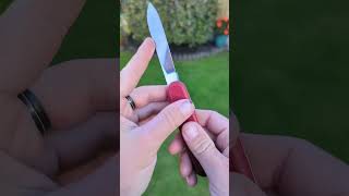 Victorinox Safari Adventurer Swiss Army Knife 08710 ASMR [upl. by Aarika949]