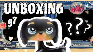 LPS pet pairs UNBOXING LPS POLSKA [upl. by Ylloh]