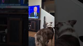 That was a RUFF dedate for President Biden  Can I register my dog to votevolumeup trump biden [upl. by Kathe]