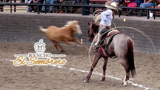 3 de 3 Manganas a Caballo  II Campeonato Rancho El Sombrero 2022 [upl. by Aokek]