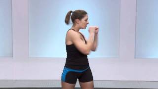 Workout Guide  Torso Twists [upl. by Wilhelmine]