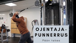 Saliharjoittelun perusteet  Ojentajaliikkeet osa 3  Ojentajapunnerrus taljassa pään takaa [upl. by Lorrin341]