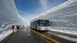 5 Nevadas Mas Recordadas De La Historia [upl. by Marleah]