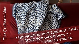 Hooked and Locked Crochet Along Practice piece part 3  row 1a and 1b interlocking crochet [upl. by Goldshell335]