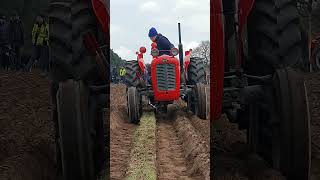 Massey Ferguson 35X at the North Nottinghamshire Ploughing Training Day 10th February 2024 [upl. by Inod]