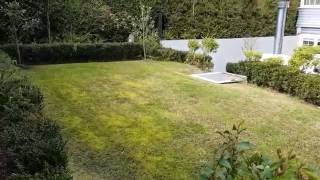 How to treat a lawn that is heavy with moss [upl. by Terrej26]