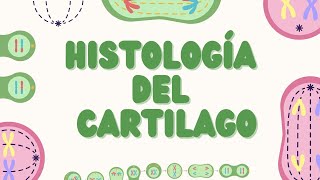 Histología del Tejido Cartilaginoso Estructura y Función [upl. by Everrs378]