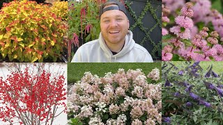 7 Shrubs for Small Gardens  Visit Our Garden [upl. by Ekle]