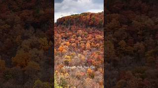 Fall Colors and Flowing WatersNatures Perfect Harmonyparkshortskannadavlogs fallcolorsnature [upl. by Naloc]