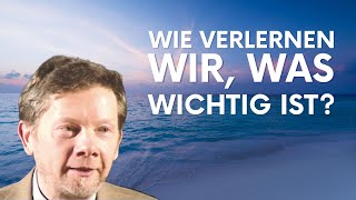 Transzendenz amp Spiritualität  Warum lernen wir es nicht in der Schule  Eckhart Tolle Deutsch [upl. by Drice]