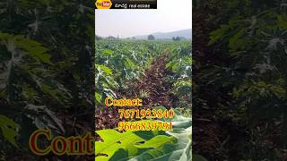 Andhra Pradesh agriculture land 15 acres sale near Macherla mandal ￼durgi andhrapradesh [upl. by Ibor856]