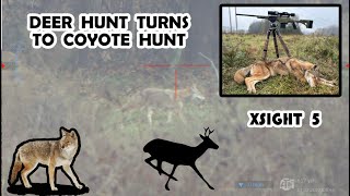 Predator Turned Prey  Coyote Chases Deer Then Becomes the Prey [upl. by Asilehc]