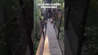 Treetop trails at the suspension bridgervliving vancouver canada capilanosuspensionbridge [upl. by Cumings]