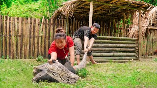 Farm Survival Tactics Keeping Your Livelihood Safe from Giant Python  Remote Village Life [upl. by Alimat]