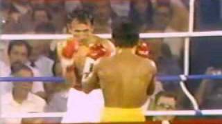 Carlos Zarate vs Guadalupe Lupe Pintor 06031979 36 [upl. by Wixted]