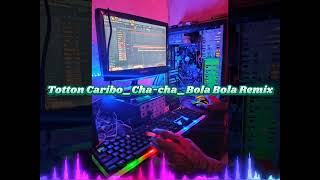 TOTON CARIBOCha Cha  BolaBola Remix [upl. by Haliled]