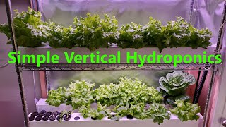 Vertical Hydroponics Indoors A Simple Setup [upl. by Berthold]