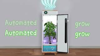 The Best Smart Indoor Garden that Makes Growing quotSo Easyquot  Hey abby Grow Box [upl. by Lajes]