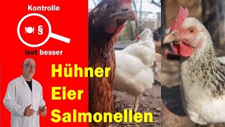 Der Lebensmittelkontrolleur das Ei und die Salmonellen [upl. by Valerio]