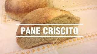 Ricetta Pane fatto in casa con criscito [upl. by Aiksa61]