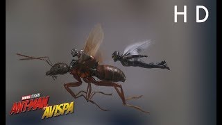 AntMan y la Avispa de Marvel  Vídeo ¡Comienza la producción  HD [upl. by Carly]