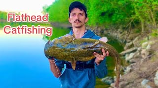 River Fishing for Flathead Catfish Big Fish Caught [upl. by Enad]