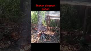 survival makan gabus dirumah pohon [upl. by Eecart174]