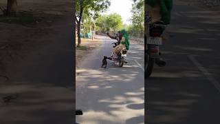 Dog Ne Kaat Liya Maalik Ko shorts youtubeshorts unexpectedvlogs vlogs [upl. by Outlaw]