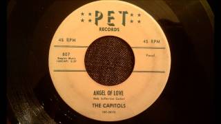 Capitols  Angel Of Love  Rarest Of The Rare Doo Wop Ballad [upl. by Mcmath]