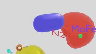 Nitrogenase Enzyme Animation Enzyme Action [upl. by Popelka481]