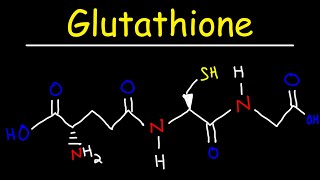 Glutathione  The Tripeptide Antioxidant amp Reducing Agent [upl. by Doak]