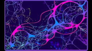 Neuroplasticity and Neurographic Art Therapy [upl. by Pinkerton]