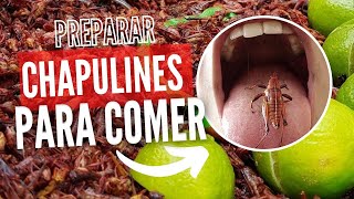 Como Preparar Chapulines 🦗 para Comer [upl. by Algy]