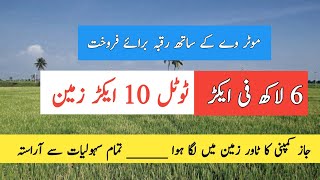 Agriculture land for sale in Punjab Pakista  land for sale in Punjab [upl. by Myca]