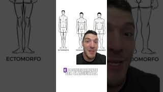 TREINO PARA BIOTIPO ECTOMORFO MESOMORFO ENDOMORFO [upl. by Heber]