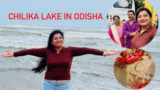 Visiting Chilika Lake In Odisha [upl. by Asek592]