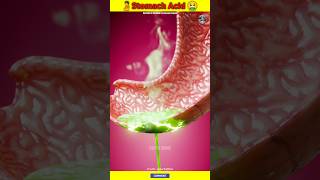 How Strong Is Stomach Acid 😨 shorts youtubeshorts stomach stomachacid acid [upl. by Varney194]