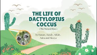 Dactylopius Coccus Assignment 1 [upl. by Eisinger]