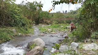 Blaan River Malandag Sarangani [upl. by Neyut]