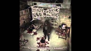 FEMALE NOSE BREAKER  A Crash Course In Brute Romance Full EP [upl. by Ruenhcs]