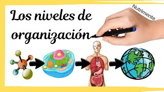 Niveles de organización de la materia y los seres vivos [upl. by Yonit]