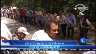 RITUAL CORTE PALO DE VOLADORES CUETZALAN 2019 [upl. by Onyx]