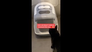 The Truth About Enclosed Litter Boxes [upl. by Haisej]