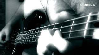 Bass Cover New Model Army  Whirlwind [upl. by Steven]